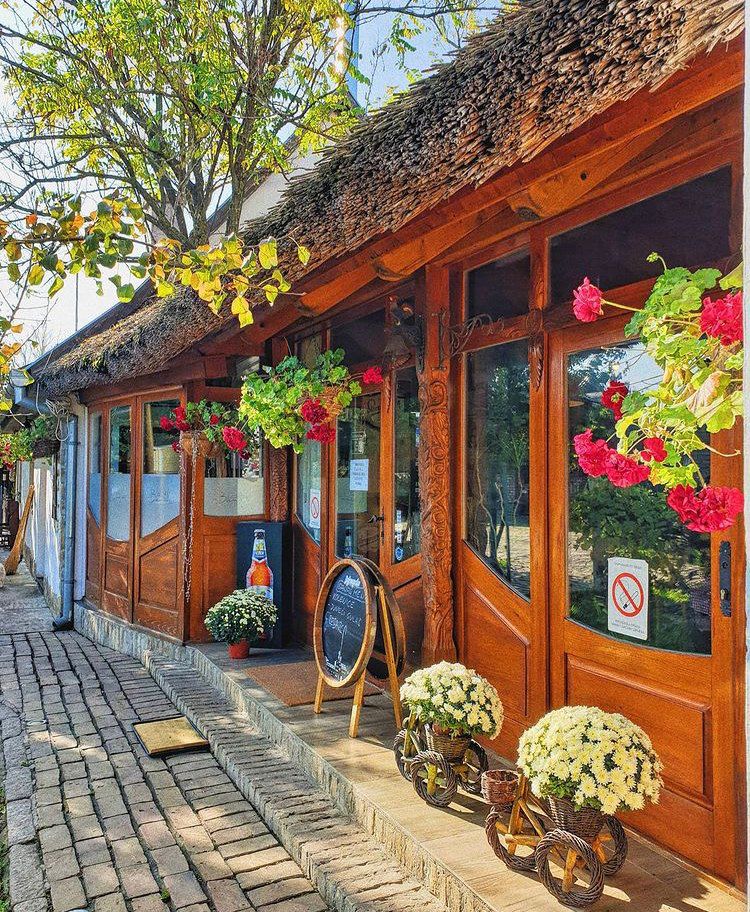 Fresh domestic cheese on a wooden platter with rosemary