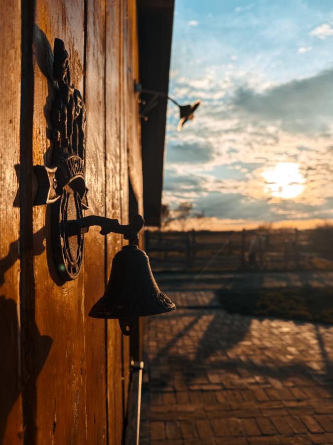 Rustic dining room interior with wooden furniture and warm light